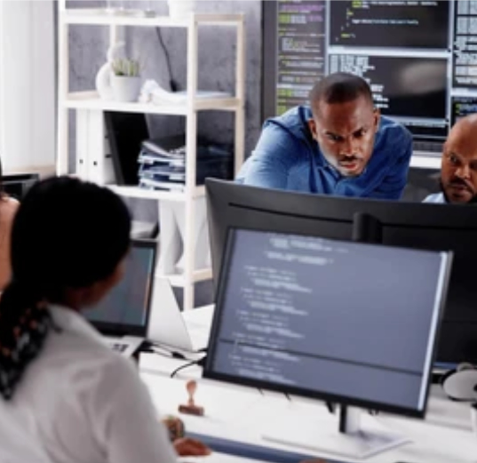 Training & Capacity Building